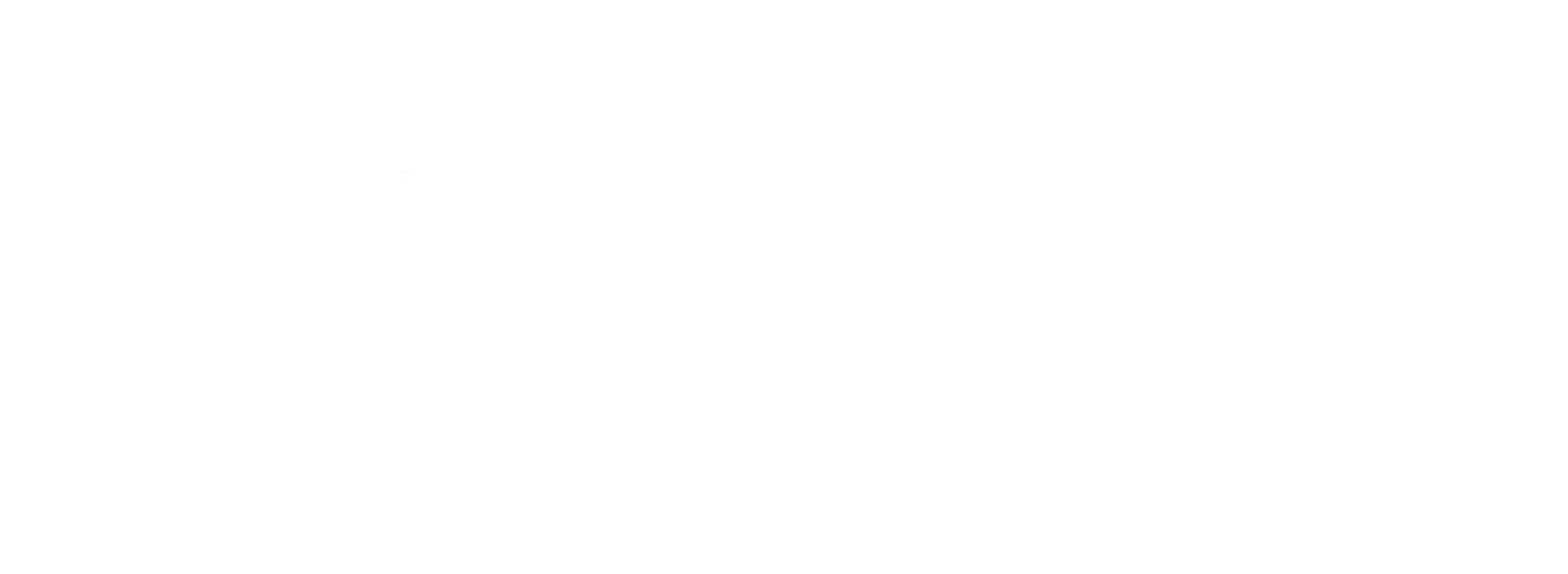 Pradhan Logo PNG white